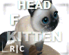 R|C Kitten On Head F