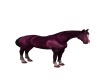 {LS} Brown Horse
