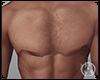A Perfect Chest NoGlitch