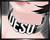 [G] Custom Plaid Collar