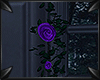 !P Purple Rose Vine 1