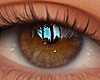 Eyes Mousy