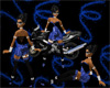 spring breeze dark blue