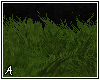 A| Dark Green Grass Rug