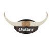 Outlaw Longhorns