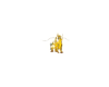 Golden Drag Fantasy