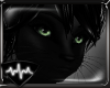 [SF] Katt - Black