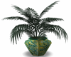 Asian Vase with fern