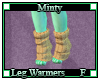 Mity Leg Warmers F