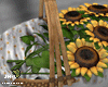 ! Sunflower basket.