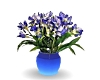 Flower Iris Blue