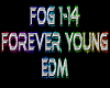 Forever Young rmx