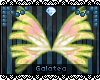 ❆ Wings Sirenix Roxy