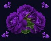 Purple Hearts & Flowers