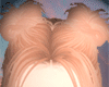 Gomi Rose