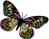Sticker Butterfly