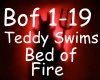 Bed of Fire