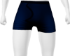 VF bold boxers midnight