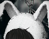 F bunny hat
