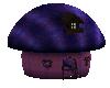 Mushroom Fairy home