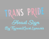 Trans Pride Sign