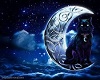 Black Cat with Moon Pic