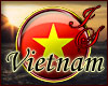 Vietnam Badge