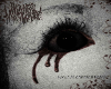 Wounded Masquerade (F)