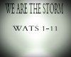 WE ARE THE STORM