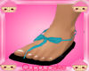 *C* Blue Teal Sandle Bow