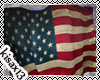 x13 USA FLAG