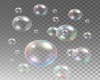 Irridescent Bubbles