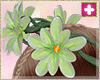 spring  crown green