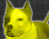 *-*Yellow Dog Pet