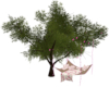 Hammock W/6 Couple Poses