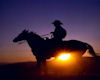 Cowboy in the Sunset