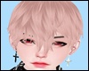 *Y* Toru Cream