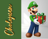 Luigi 3D