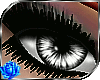[Sandra] Luminous