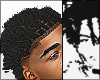 Twisted Locs @Haderz