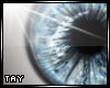 Eyescapes - SerendipityM