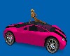 12 Pose Car Pink w/black