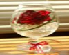 rose in a glass