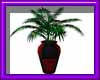 (sm)checker ferns vase