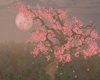 (X) MPN Cherry Blosson