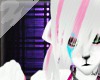|W| RainbowKitty ears