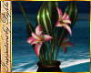 I~Island Tropical Plant