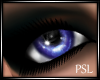 PSL Dazzle Periwinkle F