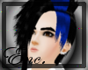 Enc. Ume Black/Blue