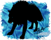 Blue Eyed Large Wolf
